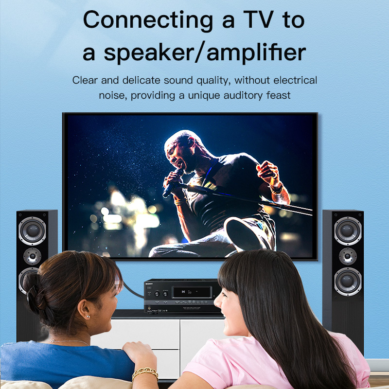 Cabo RCA Choseal, Cabo de Áudi - Home Cinema Tv avaliação e preço